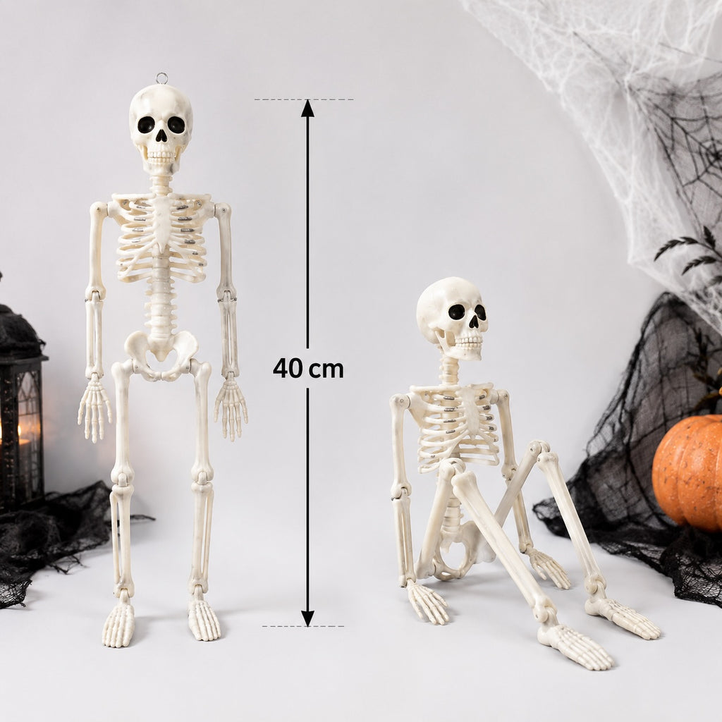 💀 Squelette Halloween 40 cm