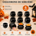 🖤 Chaudron de Sorcière Halloween